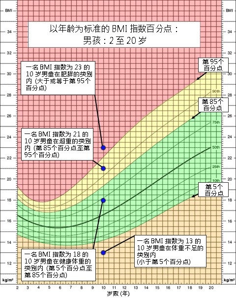 Growth chart example showing range of different BMI percentiles for height and age.