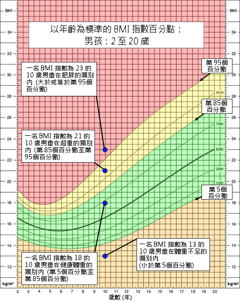 Growth chart example showing range of different BMI percentiles for height and age.